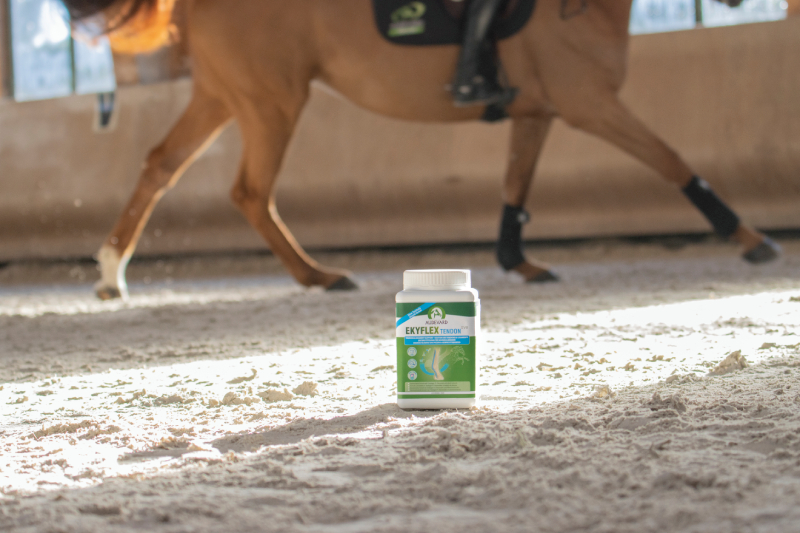 Audevard Ekyflex Tendon EVO Pezen Ligamenten Paard Audevard Ekyflex Tendon EVO Pezen Ligamenten Paard