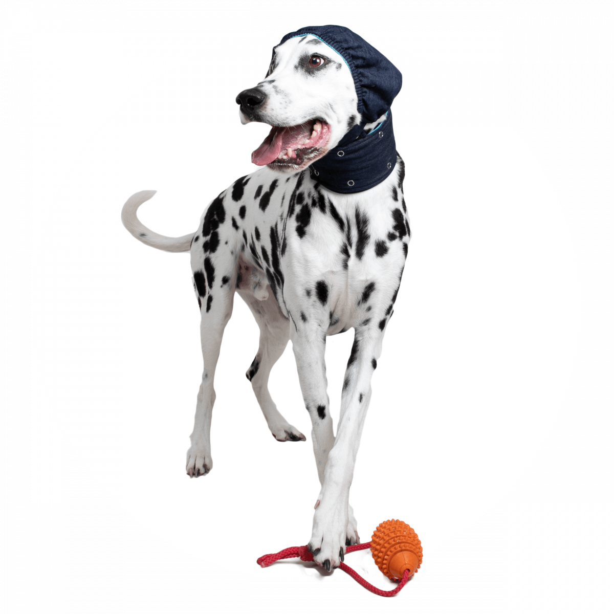 MPS-Head Cover Hond 