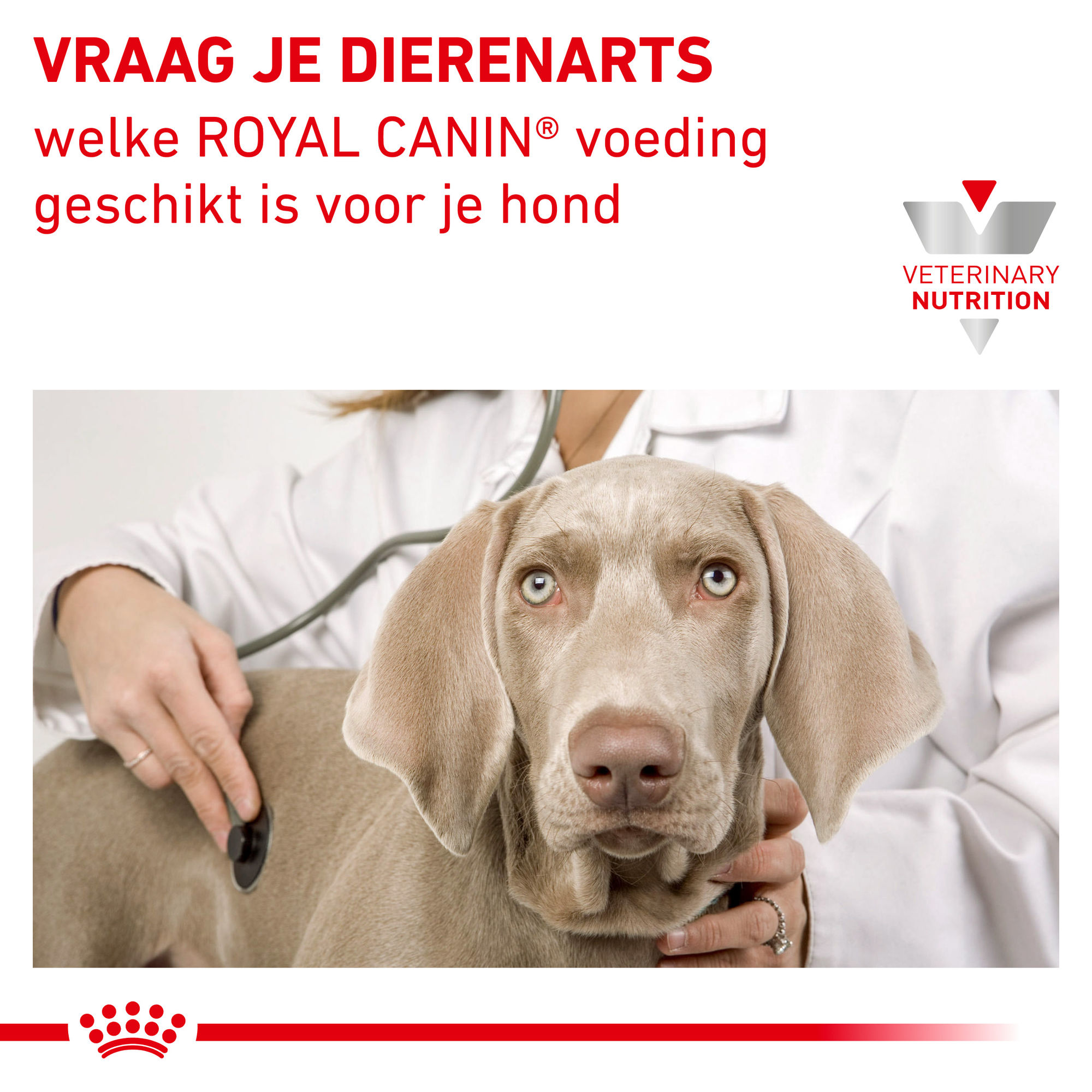 Royal Canin Hypoallergenic Hond 